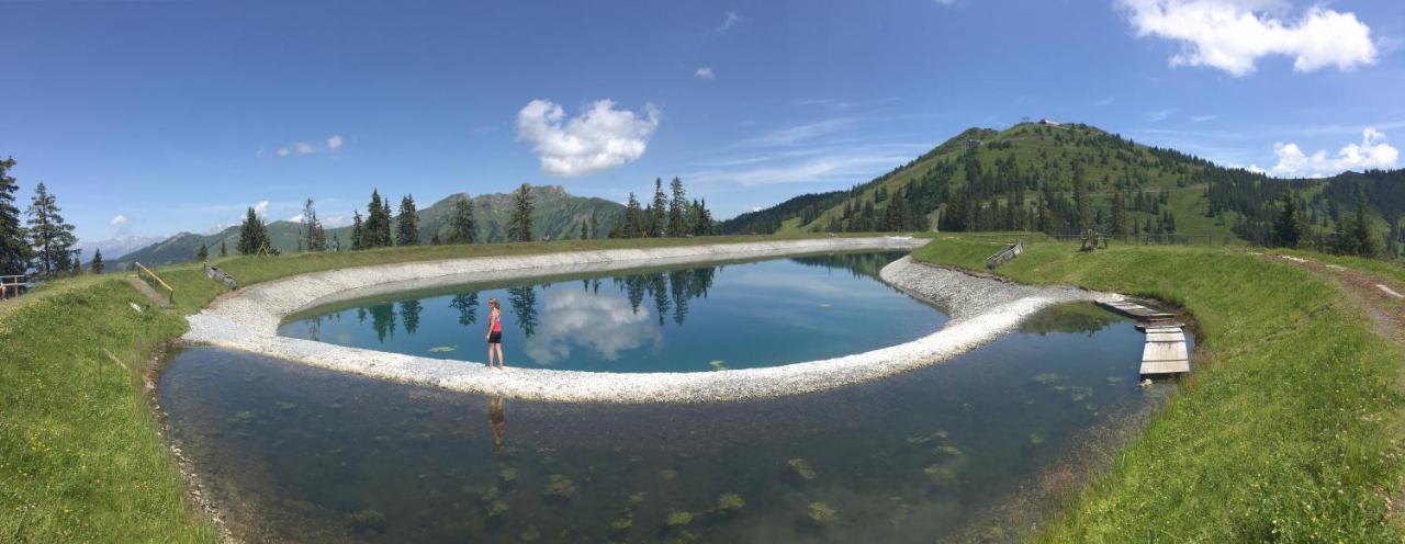 Haus Brunhilde Apartman Dorfgastein Kültér fotó