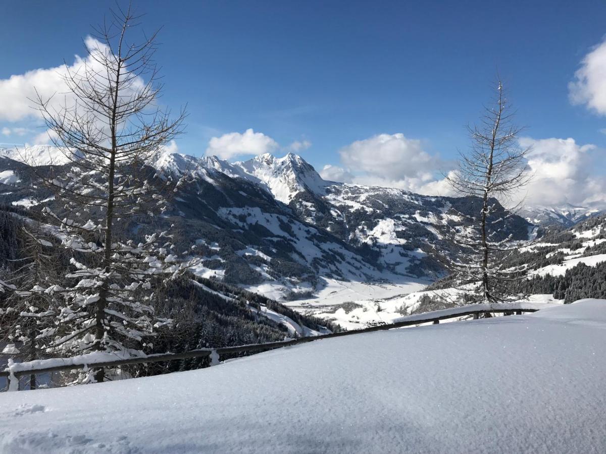 Haus Brunhilde Apartman Dorfgastein Kültér fotó